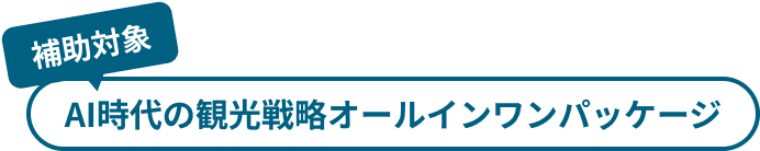 補助対象。AI時代の観光戦略オールインワンパッケージ